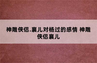 神雕侠侣.襄儿对杨过的感情 神雕侠侣襄儿